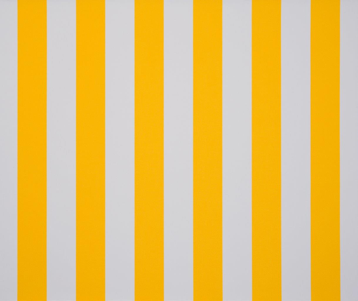 Orchestra Bs Jaune - Blanc